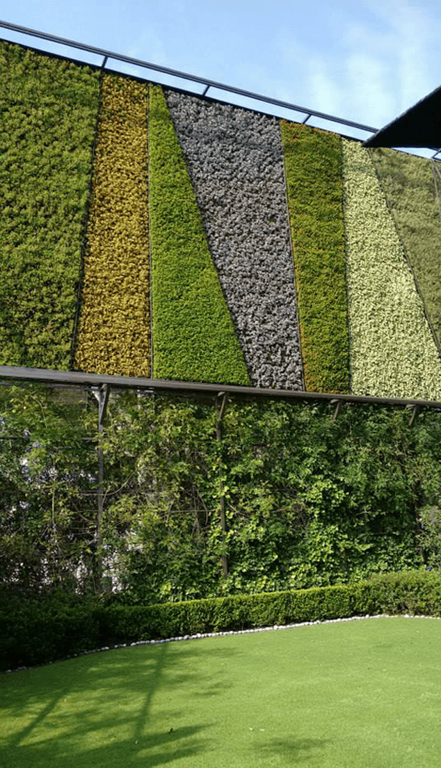 Muros Verdes Muros Y Azoteas Verdes